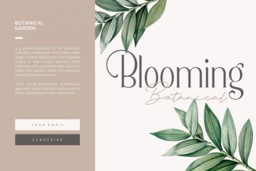 Berlin Collection Font