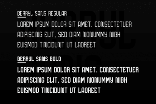 Berryl Sans Serif Font