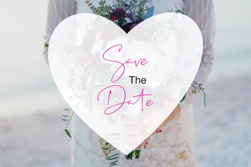 Best Deals Script Font