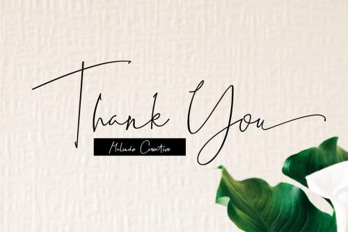 Best Deals Script Font