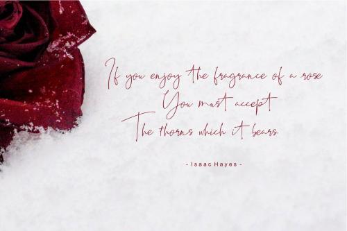 Best Deals Script Font