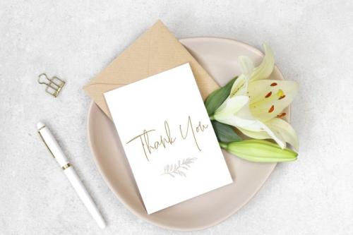 Besties Matthew Script Font