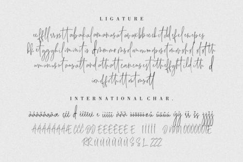 Besties Matthew Script Font