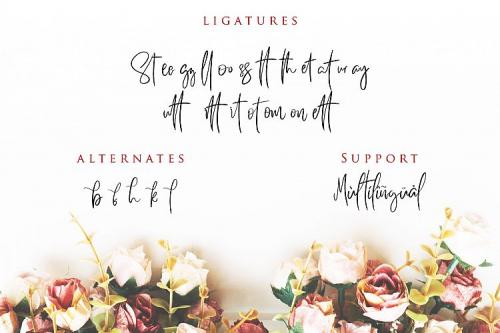 Better Saturday Script Font