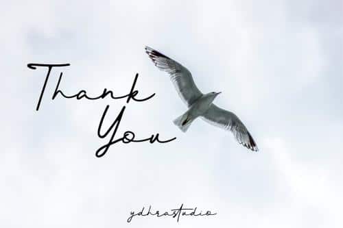 Better Signature Font