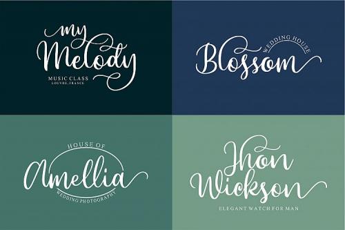 Beyonce Calligraphy Font