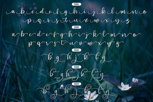 Beyonce Calligraphy Font