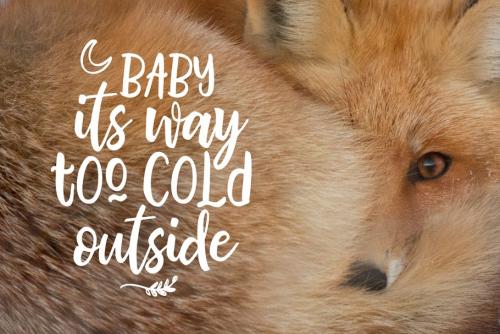 Bhatoshine Script Font