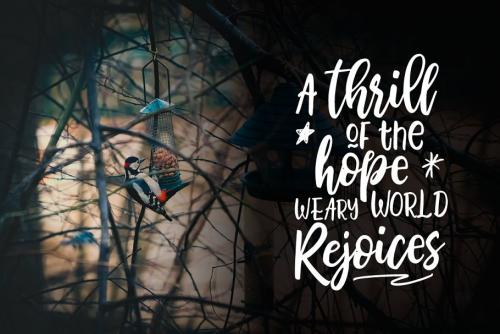 Bhatoshine Script Font