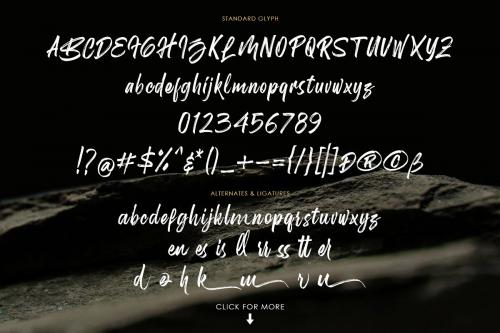 Birdrockers Brush Font
