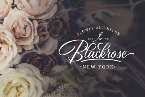 Birmingham Script Font