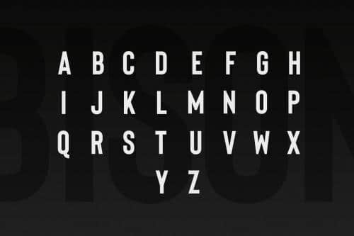 Bison A Powerful Sans Serif Font