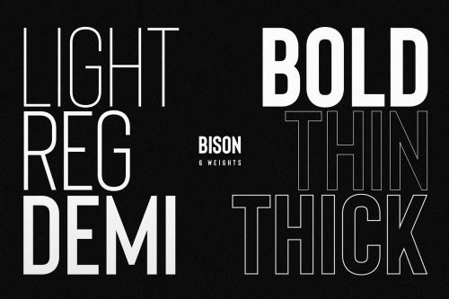 Bison A Powerful Sans Serif Font