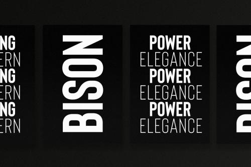 Bison A Powerful Sans Serif Font