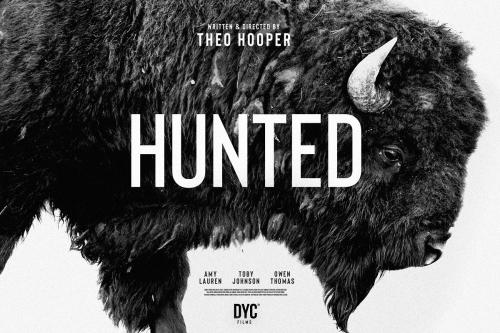 Bison A Powerful Sans Serif Font