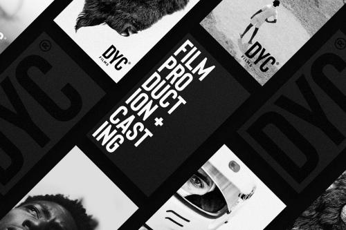 Bison A Powerful Sans Serif Font