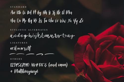 Bitter Rose Brush Font