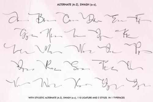 Black Pink Signature Font
