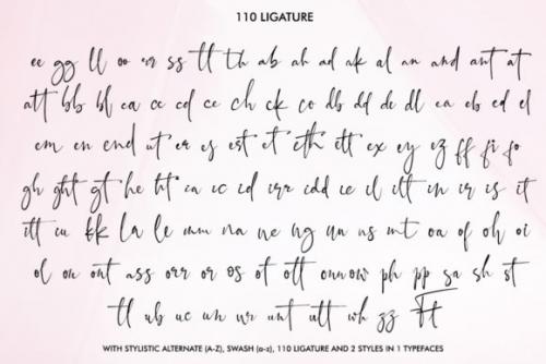 Black Pink Signature Font