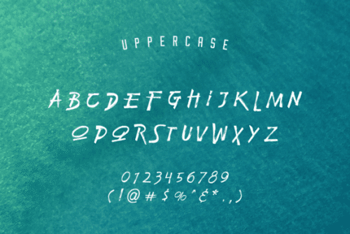 Bodhi Brush Font