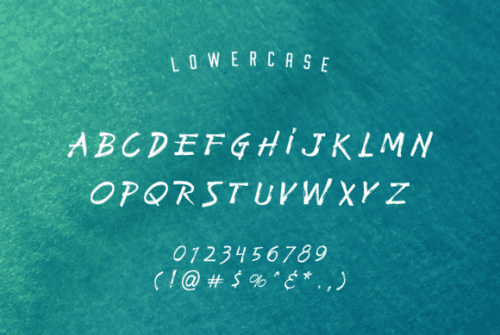 Bodhi Brush Font