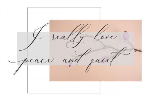 Boheme Floral Script Font
