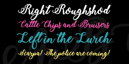 Bold Stylish Calligraphy Font