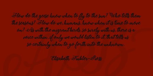 Bold Stylish Calligraphy Font