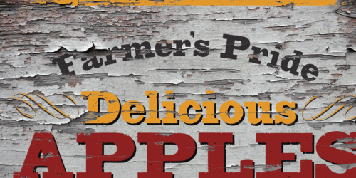 Bootstrap Font
