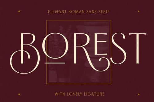 Borest Elegant Roman Sans Serif Font