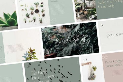 Borest Elegant Roman Sans Serif Font