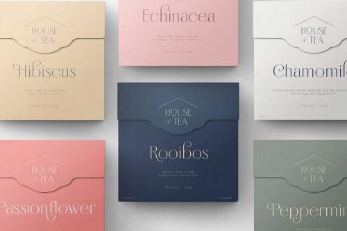 Borest Elegant Roman Sans Serif Font