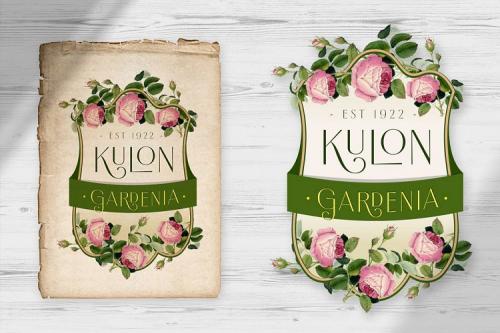 Borest Elegant Roman Sans Serif Font