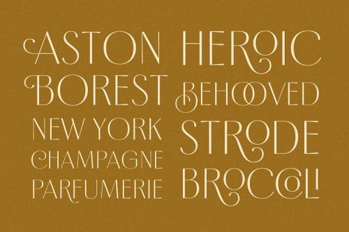 Borest Elegant Roman Sans Serif Font