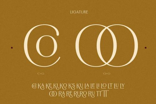 Borest Elegant Roman Sans Serif Font