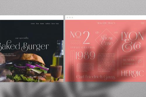 Borest Elegant Roman Sans Serif Font