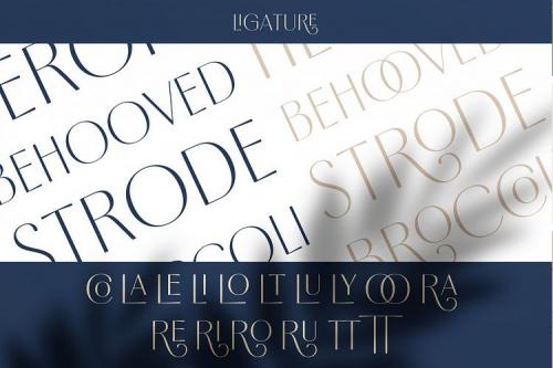 Borest Elegant Roman Sans Serif Font