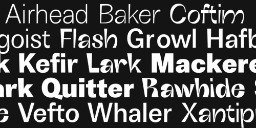 Boring Sans Serif Font
