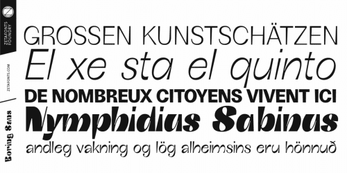 Boring Sans Serif Font