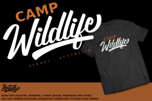 Brady Script Font