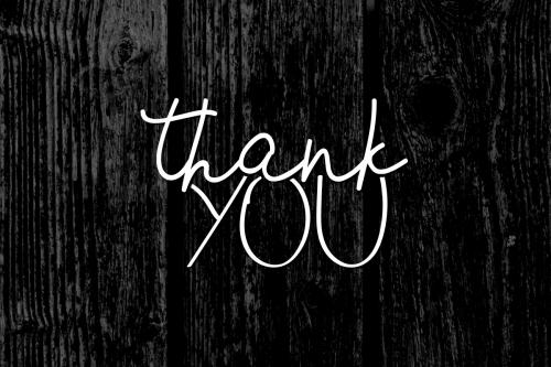 Breezy Bolton Script Font Duo