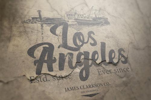 Bright Script Font