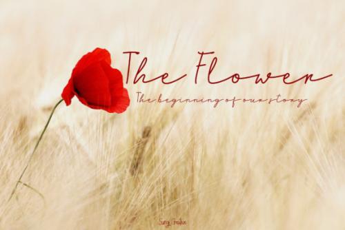 Brighton Handwritten Font