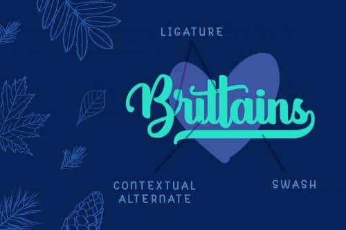Brights Diamond Script Font