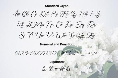 Bring Heart Script Font