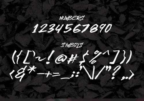 Broken Wings Font Free