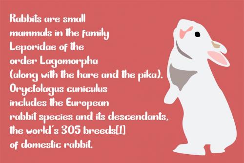 Bunny Funny Playfull Font