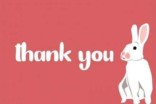 Bunny Funny Playfull Font