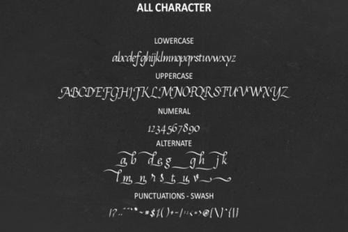 Calligram Calligraphy Script Font 10