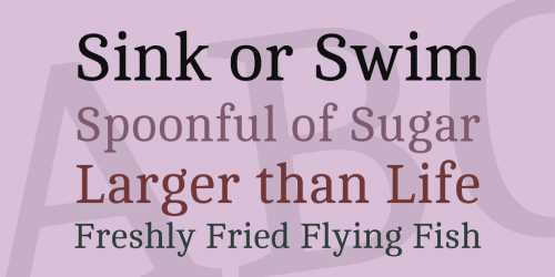 Cambo Font